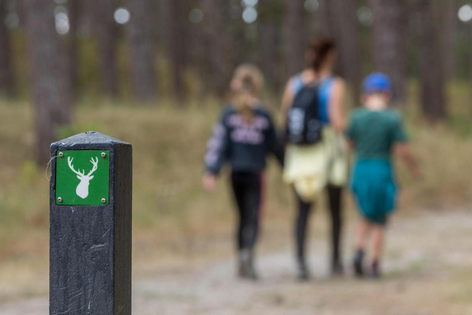 - De Haaijmanweg 5 | Haamstede 'huisje 86' Burgh-Haamstede