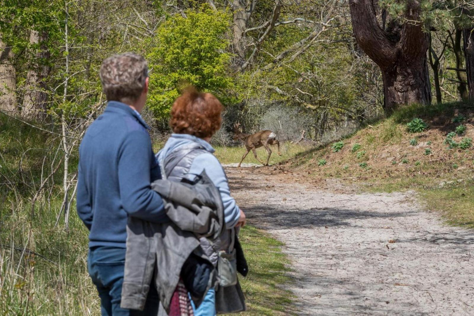 - De Haaijmanweg 5 | Haamstede 'huisje 86' *